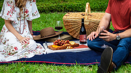 Как выбрать вино для пикника